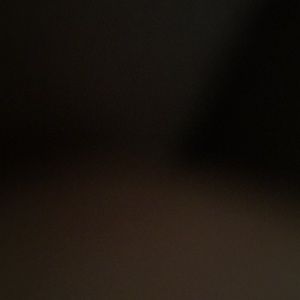 Meet your Posher, Niquita